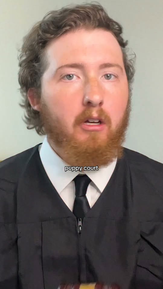 Viral We Rate Dogs reel captioned Puppy Court is now in session