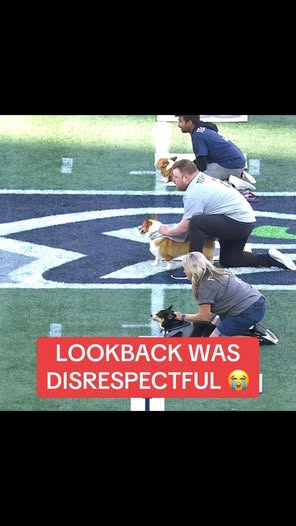 SportsCenter dog sprint Reel