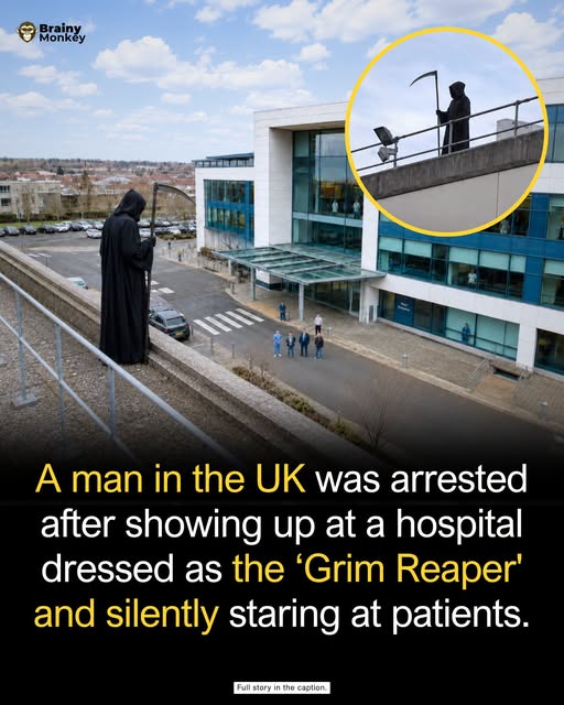Viral image post from Brainy Monkey about a hospital rooftop incident in North Wales